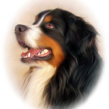 Схема вышивки «№1049322»