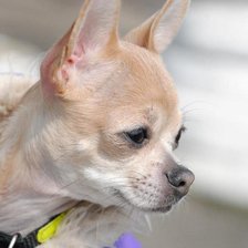 Схема вышивки «Бусинка»