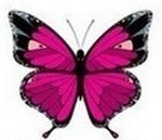 Оригинал схемы вышивки «бабочка» (№1049868)