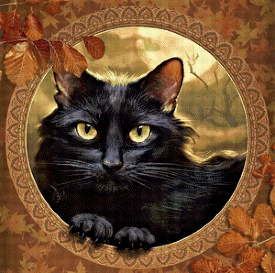 кот - коты, животные - предпросмотр