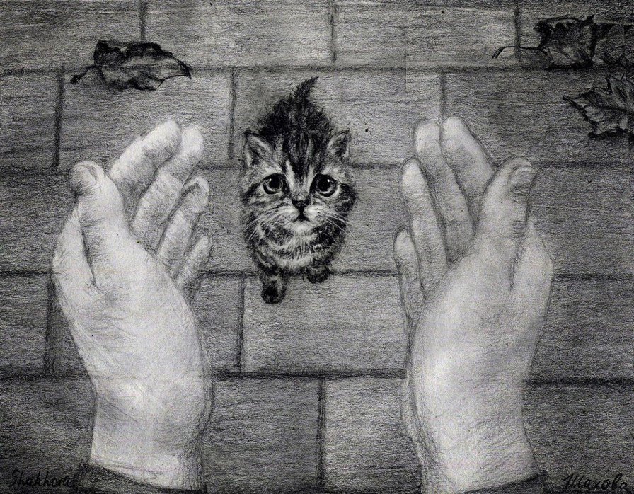 №1050068 - котенок - оригинал