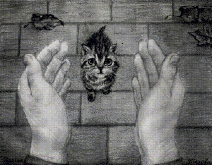 №1050068 - котенок - предпросмотр