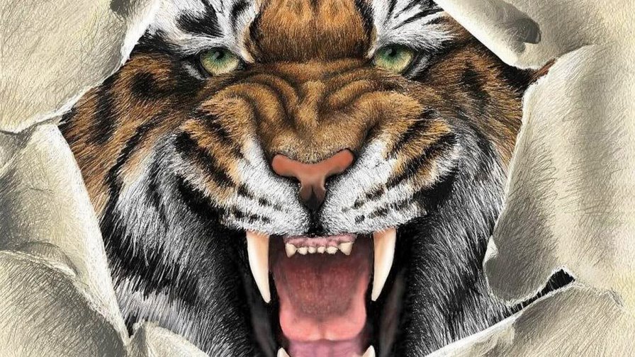 Тигр - тигр, хищник, рисунок - оригинал
