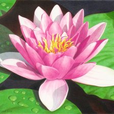 Схема вышивки «49З6»