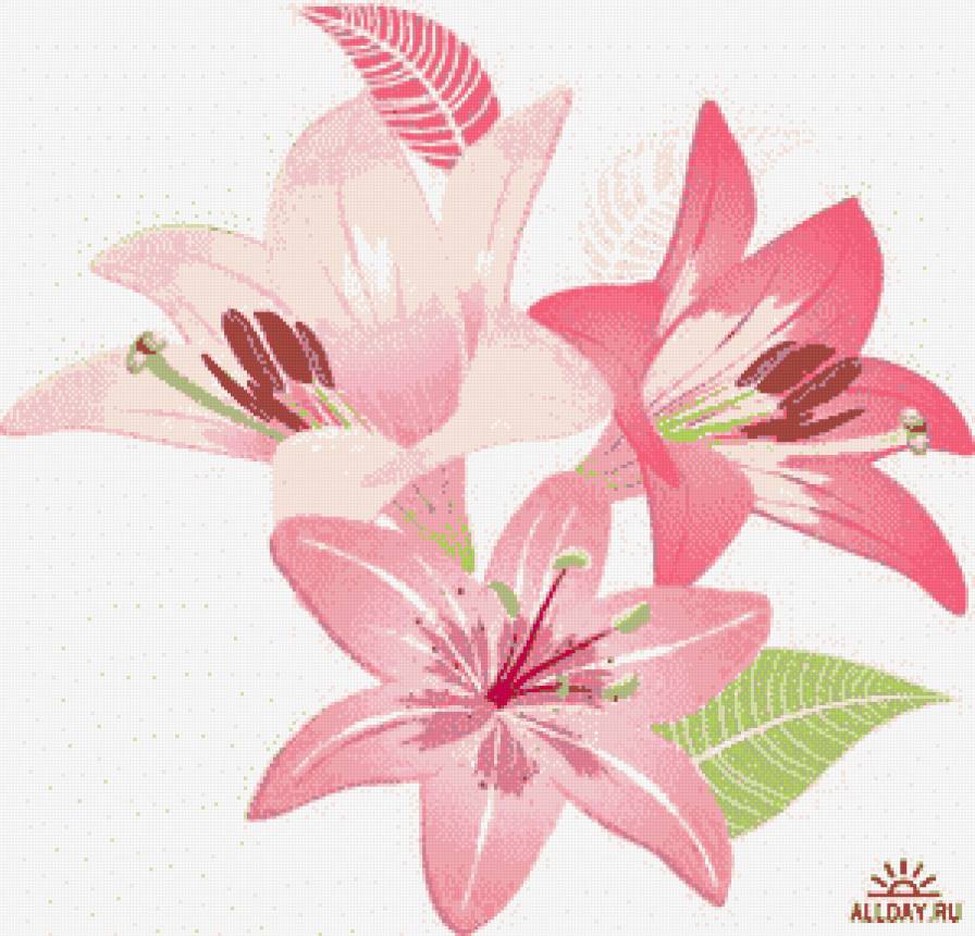ЛИЛИИ - предпросмотр