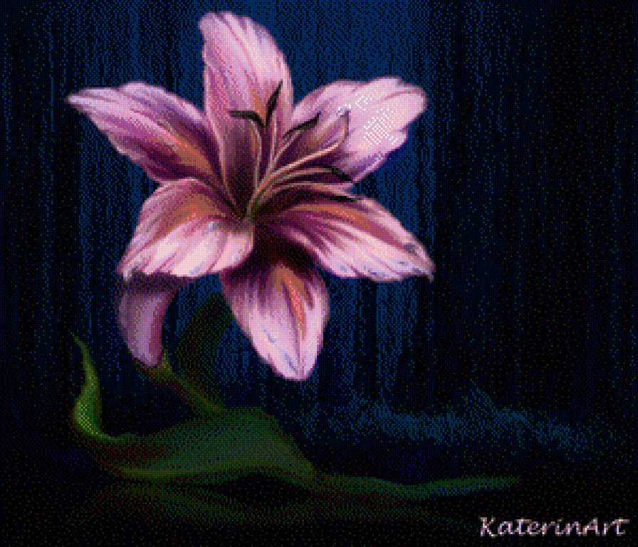 ЛИЛИЯ - предпросмотр