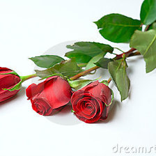 Схема вышивки «роза 2»