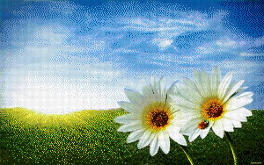 494 - предпросмотр