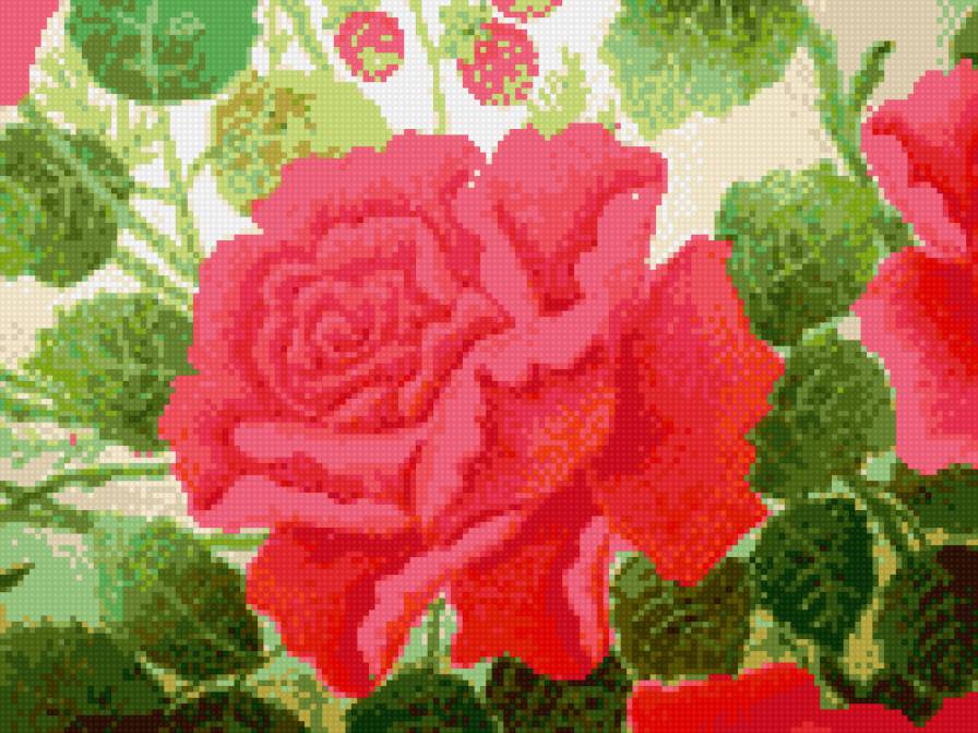 розочка - предпросмотр