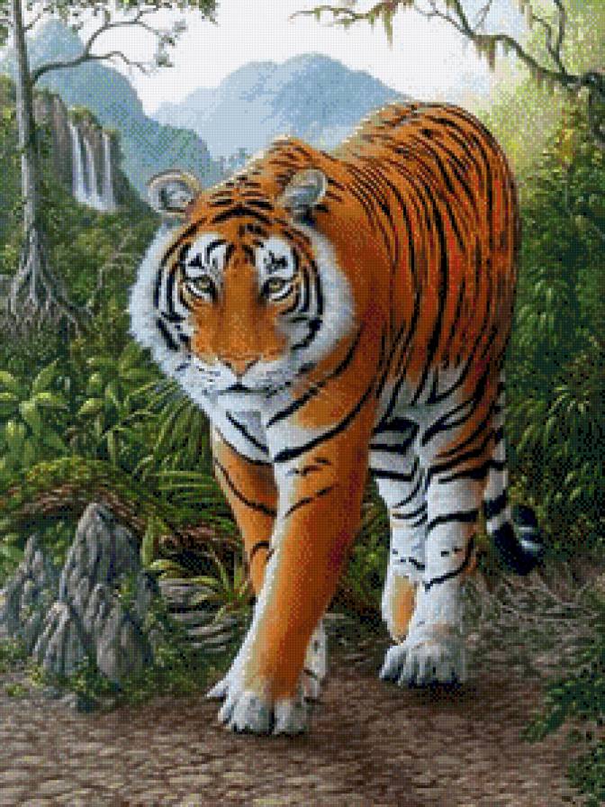 Тигр - дикие кошки, животные - предпросмотр