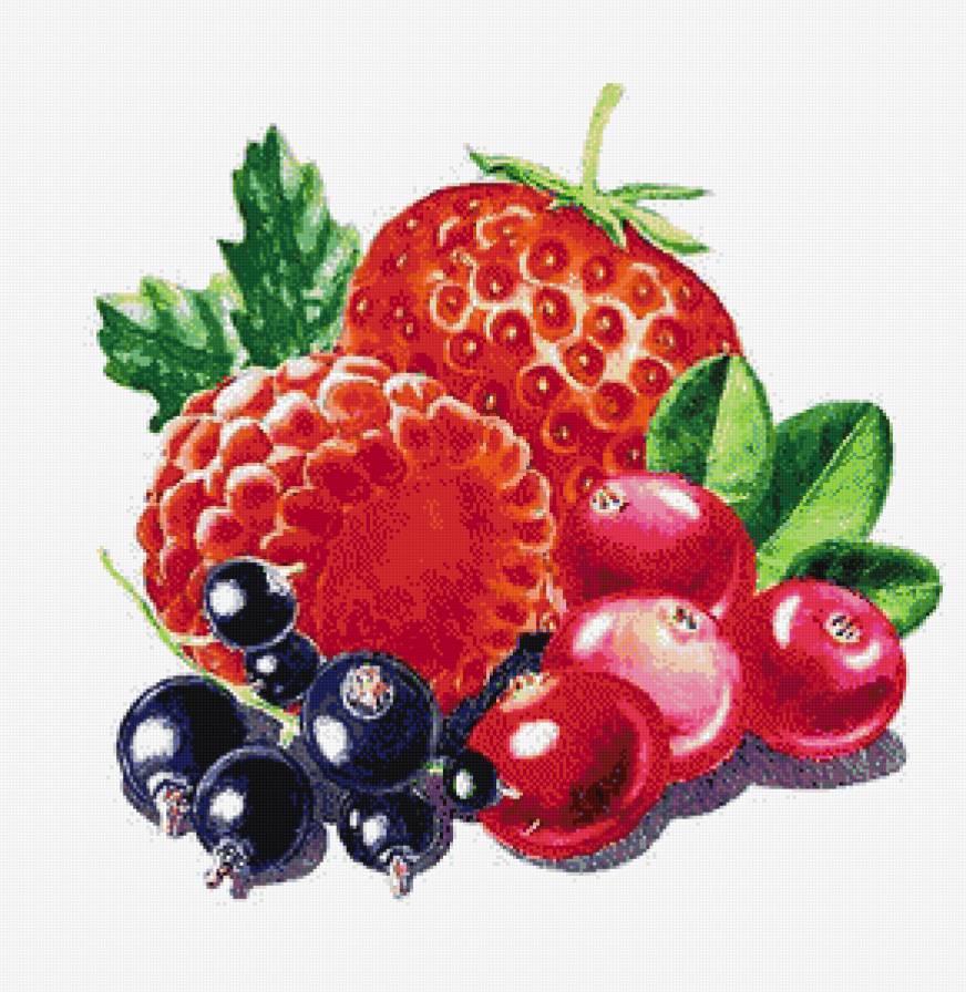 Витаминки)))) - клюква, смородина, ягоды, клубника - предпросмотр