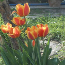 Схема вышивки «Весенние цветы»