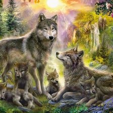 Волчья семья.