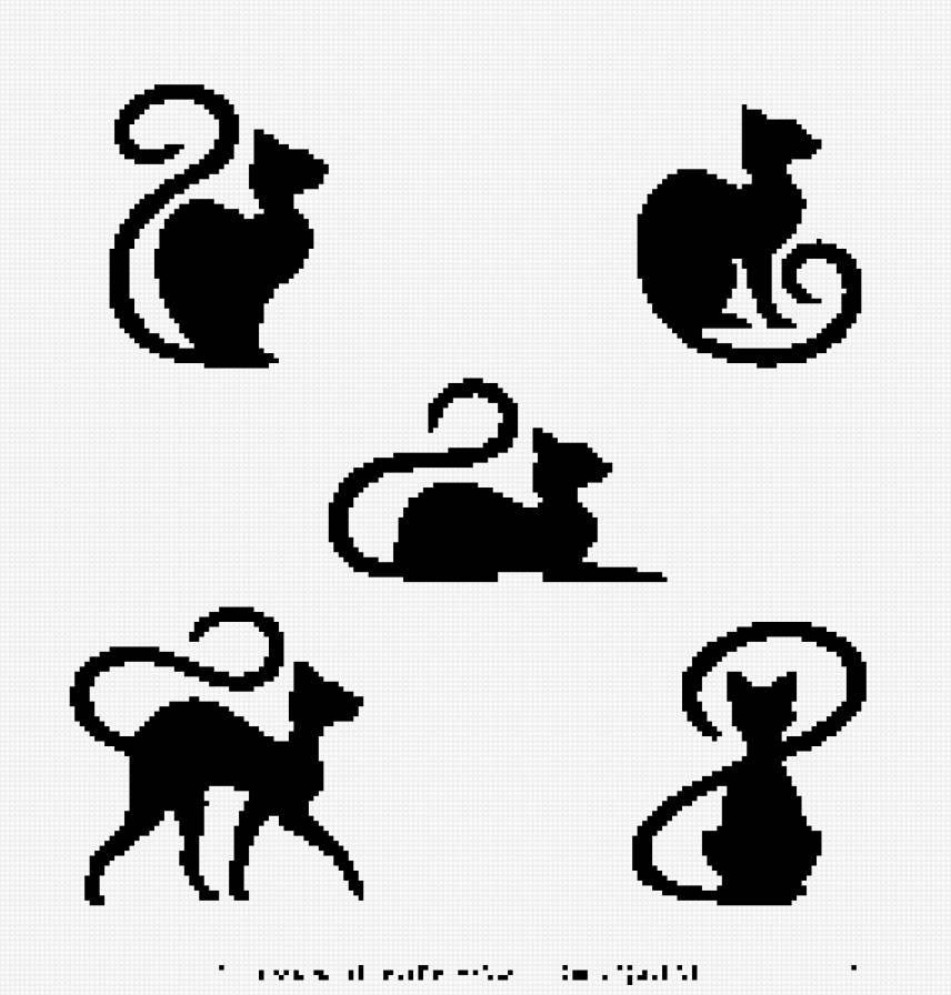 котики - предпросмотр