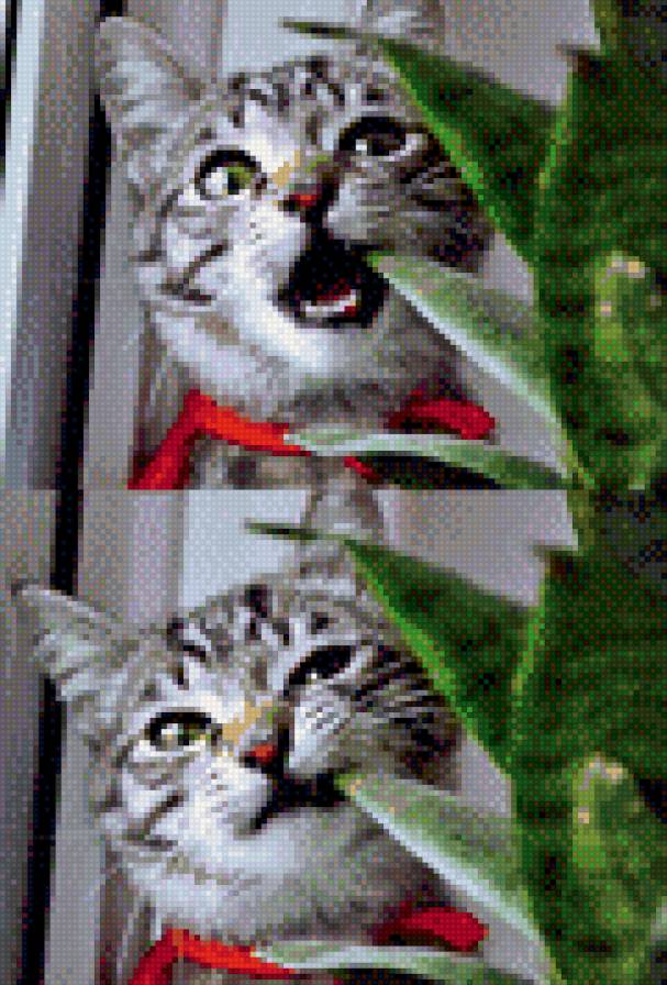 №1052827 - предпросмотр