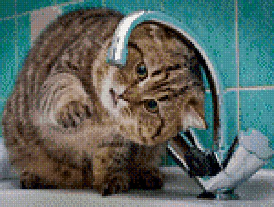 Котейка - предпросмотр