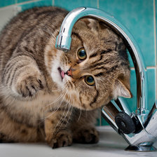 Схема вышивки «Котейка»