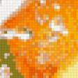 Предпросмотр схемы вышивки «Апельсин» (№1053048)