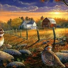 Схема вышивки «№1053268»