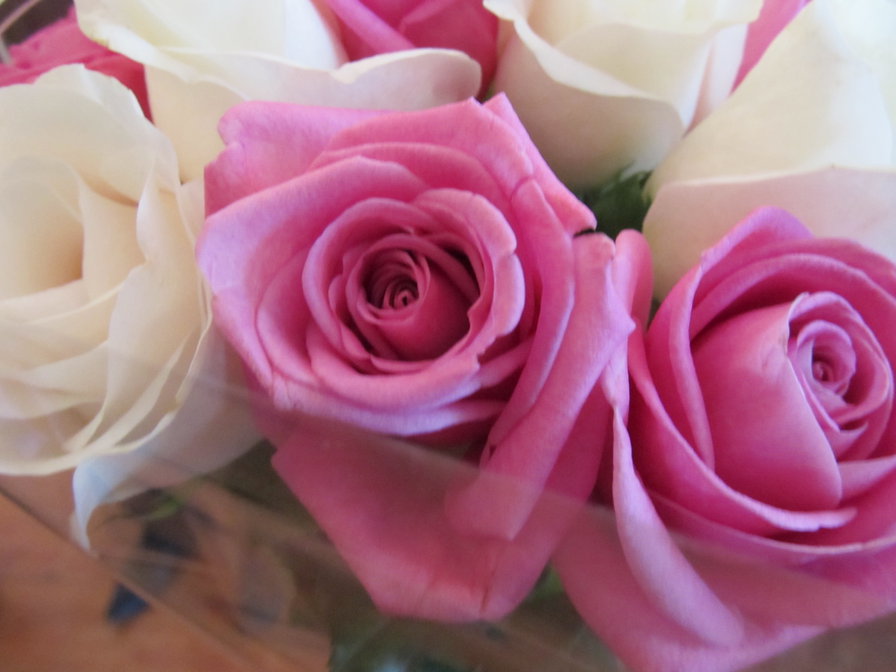 53890 - оригинал