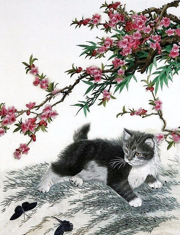 Ветка сакуры - цветение, котенок, ветка - оригинал