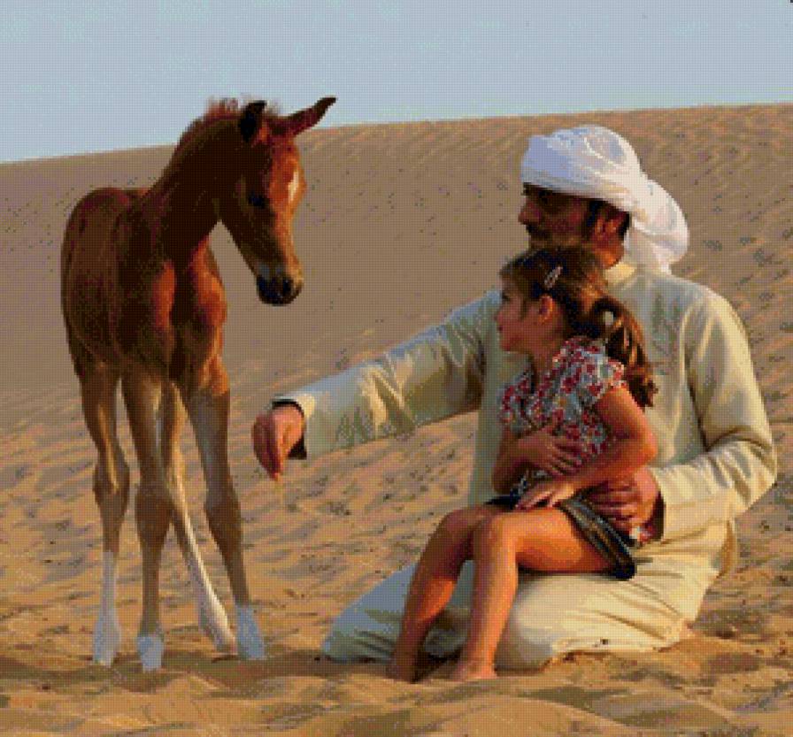 бедуин - люди - предпросмотр
