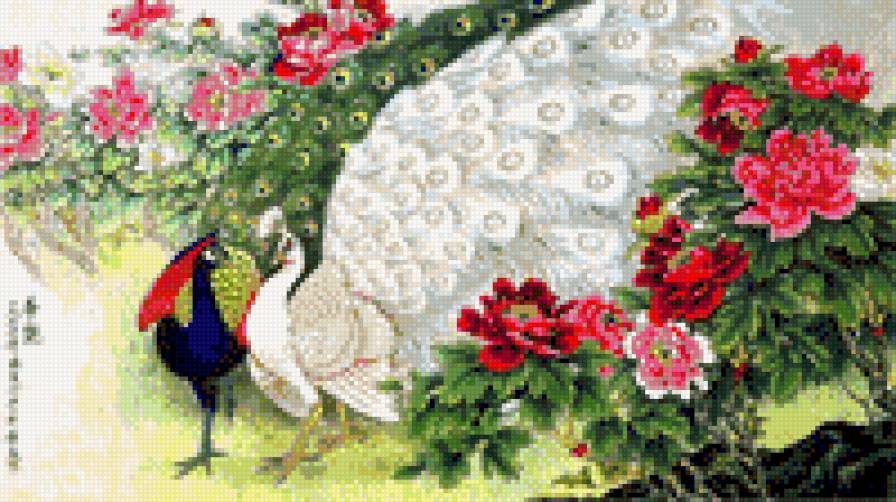 Китайские мотивы 2 - павлин, китай - предпросмотр