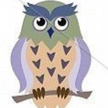 Схема вышивки «buho»