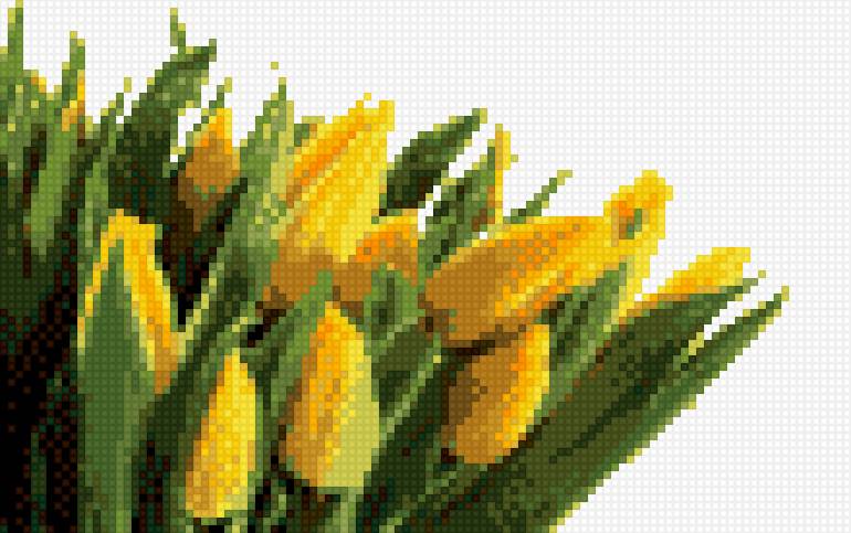 желтые тюльпаны - цветы, тюльпаны - предпросмотр
