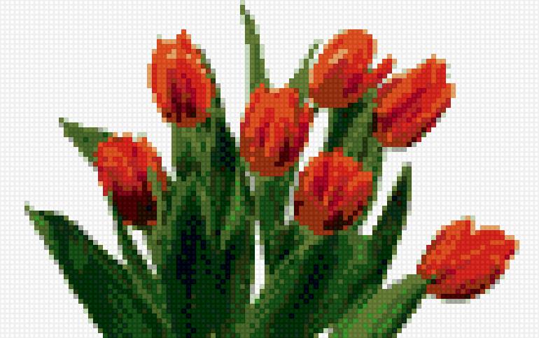 красные тюльпаны - тюльпаны, цветы - предпросмотр