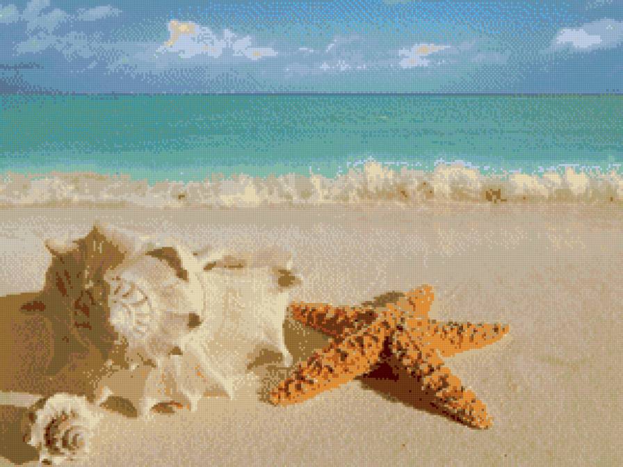 ракушка и звезда - пляж, лето, море, отдых, ракушка, звезда морская - предпросмотр