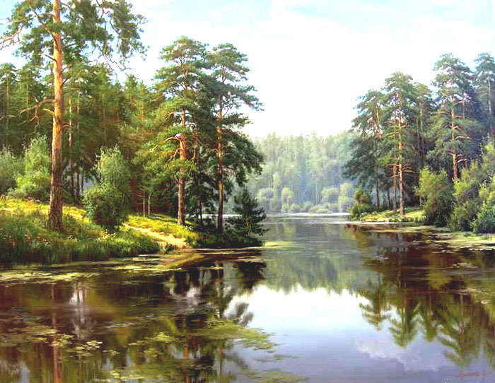 Природа - красота, пейзаж, лес, деревья, солнечный день - оригинал