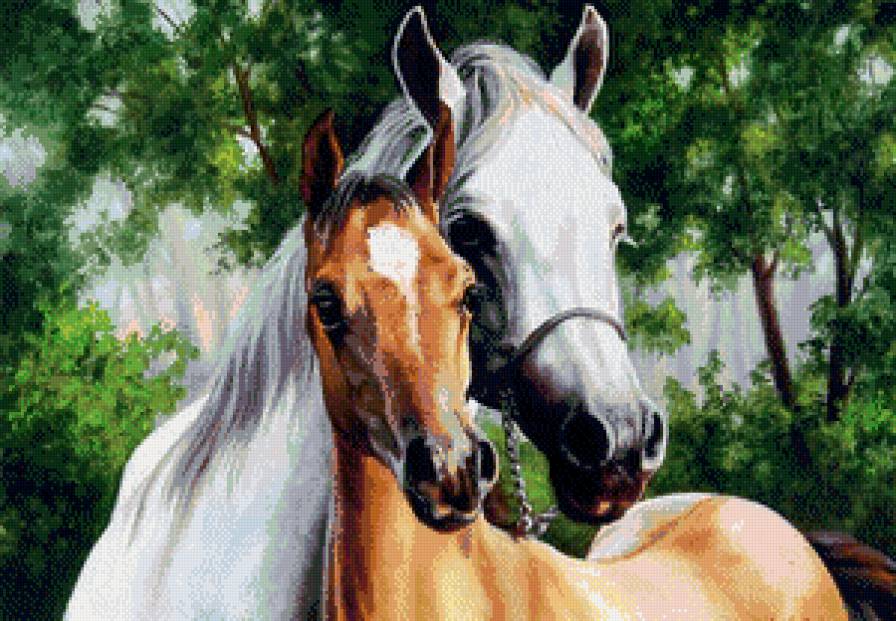Пара лошадей - нежность, пара, лошади - предпросмотр