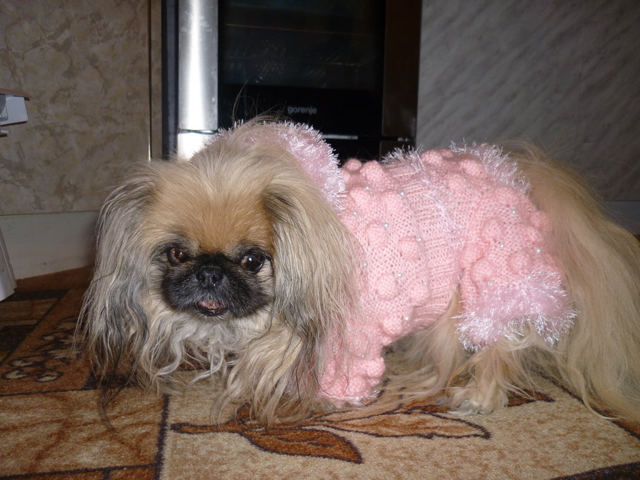 Соня - оригинал