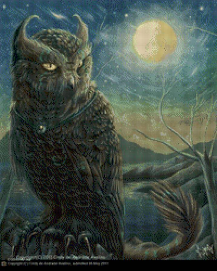 Сова-дикий кот - птица, ночь, сова - предпросмотр