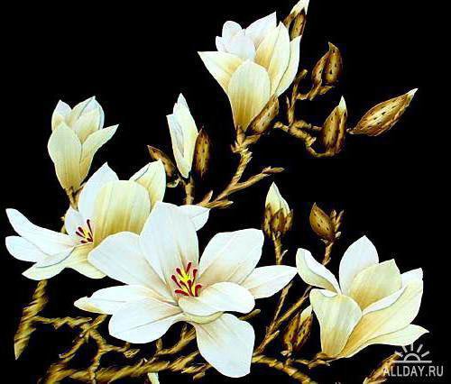 12369 - оригинал