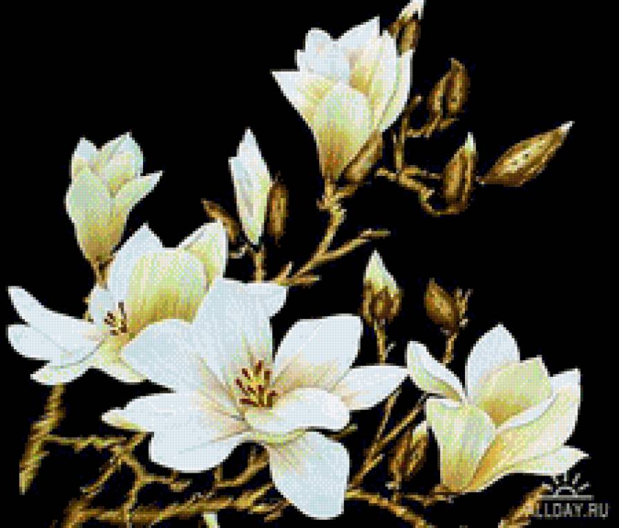 12369 - предпросмотр