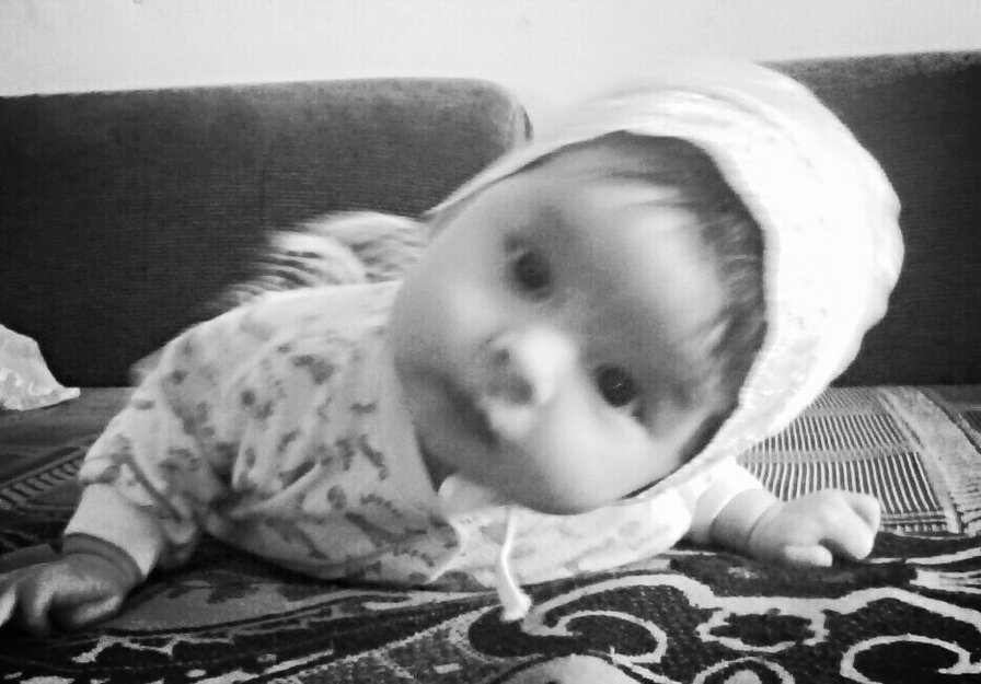 кари - оригинал