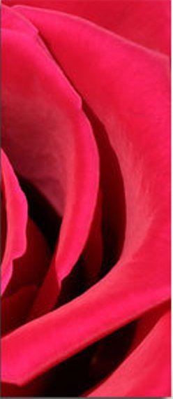 Роза-3 - модульная картина - оригинал