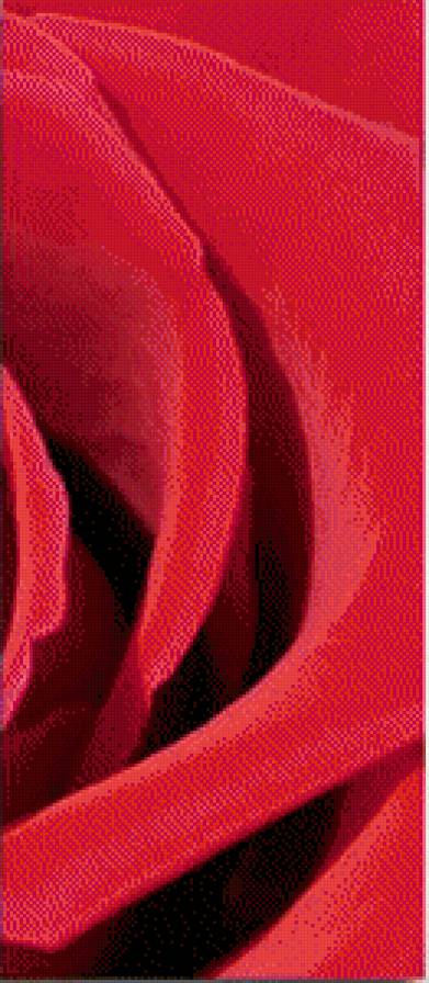 Роза-3 - модульная картина - предпросмотр