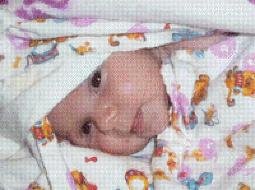 Ева Андреевна - предпросмотр