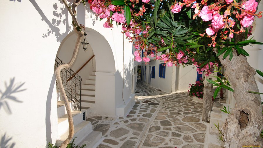 Улочка с цветами - улица, цветы - оригинал