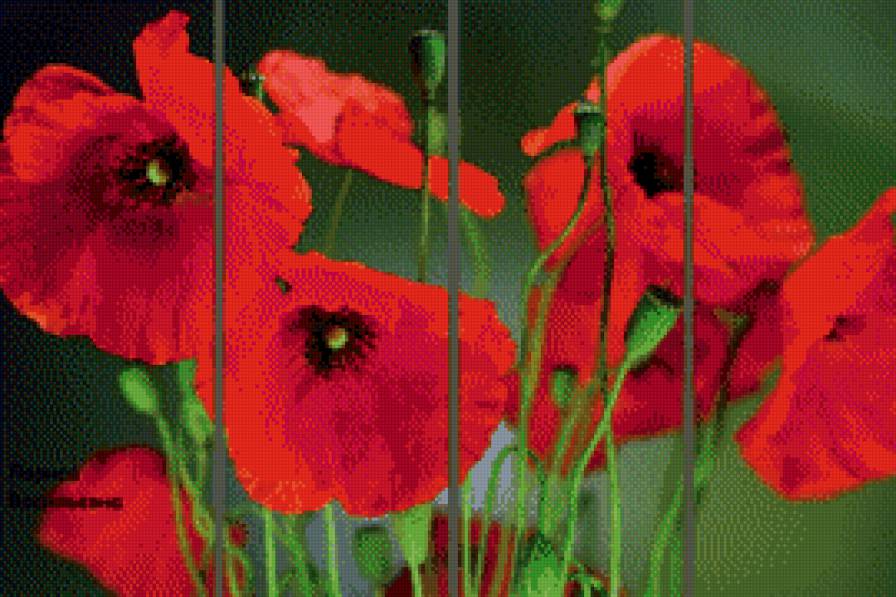 маки - триптих, цветы, маки - предпросмотр