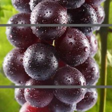 Схема вышивки «гроздь винограда»