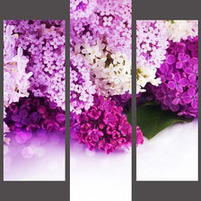 Схема вышивки «сирень»