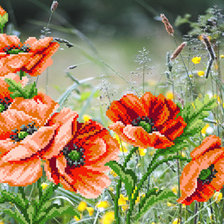 Схема вышивки «ц»