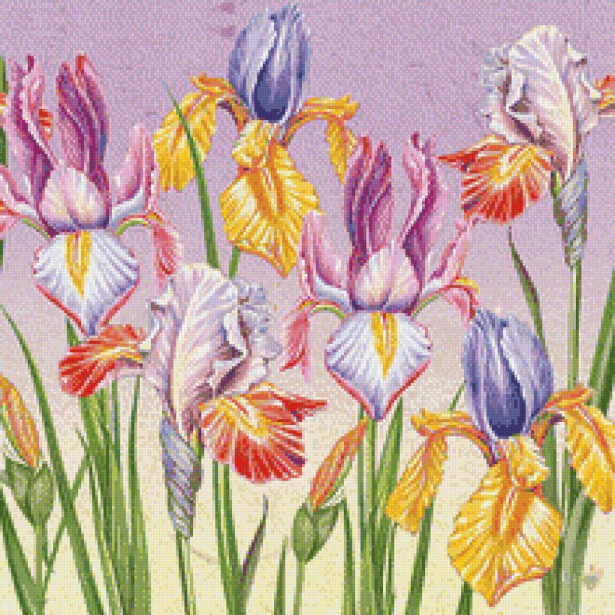 ирисы - подушка, цветы - предпросмотр