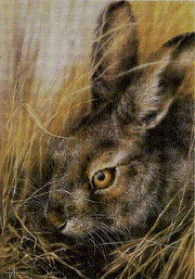 By A. Isakov - кролик, заяц - предпросмотр