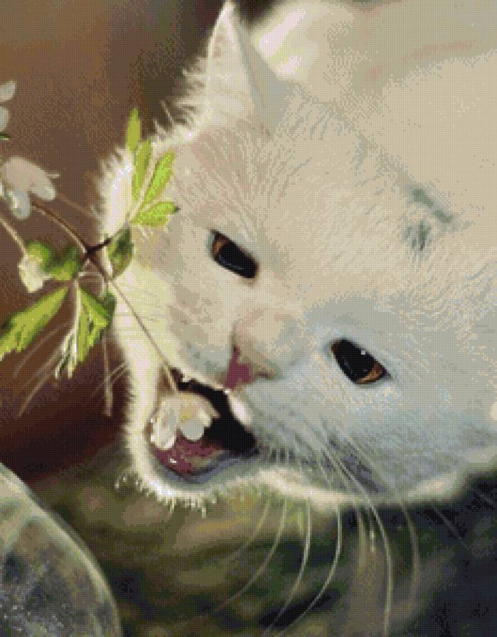 Клубничка - это вкусно! - цветок, клубника, кошка - предпросмотр