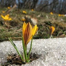 Весна в крымских горах